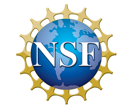 nsf-logo-5